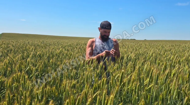 Farm Hand Needed – Full-Time & Seasonal Positions Available