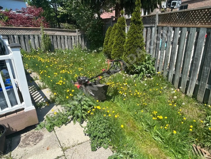 πΏ Same-Day Lawn Care Services β Professional Yard Cleanup & Maintenance