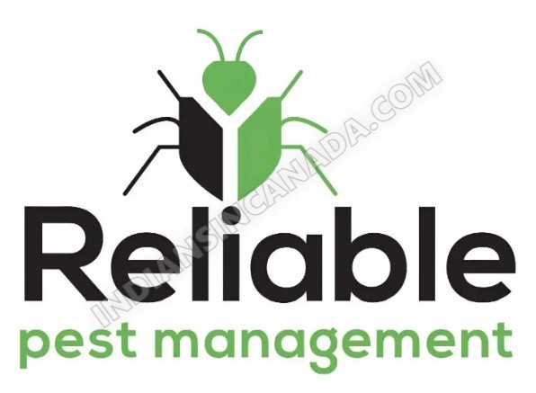 Eco-Friendly Pest Control Services | 20% OFF | Bed Bugs, Rodents & More